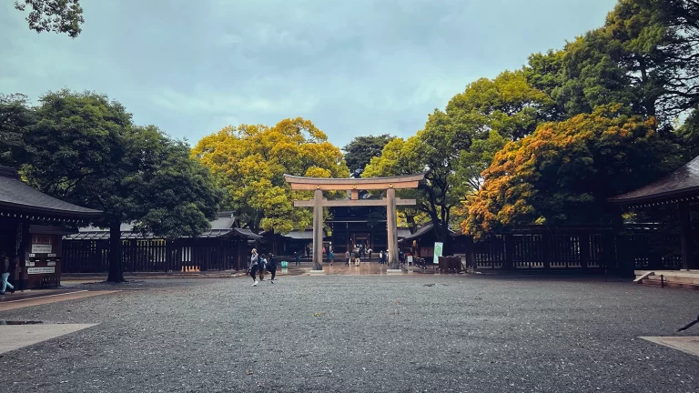 Meiji Jingu: A Serene Oasis in the Heart of Tokyo
