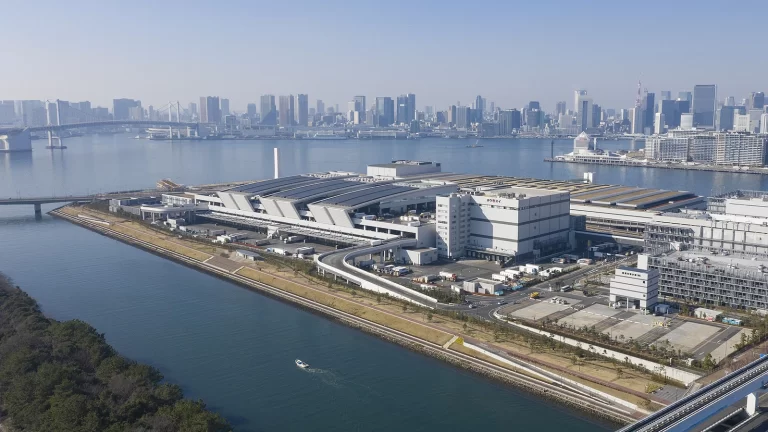 Toyosu Market: The New Home of Tokyo’s Fish
