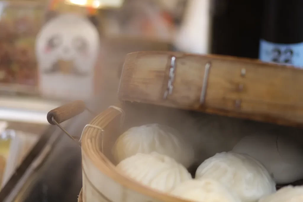 travel solo in japan food