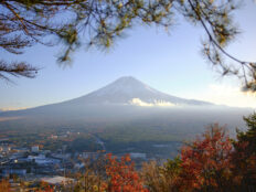 Mt.Fuji Autumn