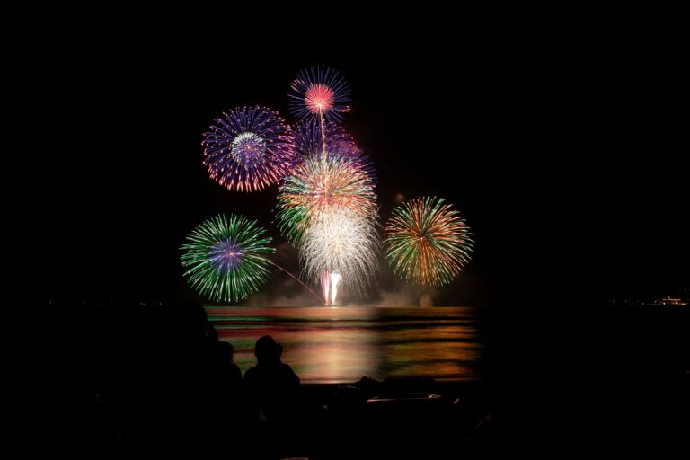 The Edogawa Hanabi Fireworks Festival