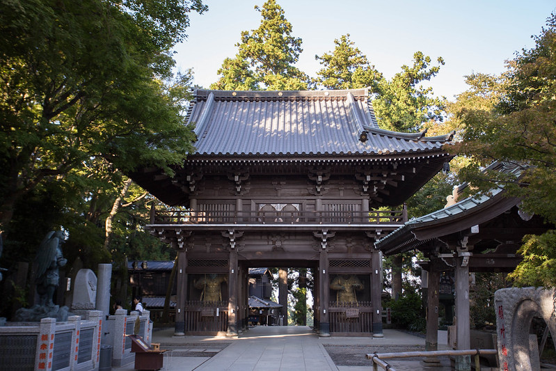 mount takao yakouin temple