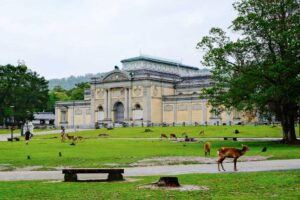 How to Experience Buddhist Culture in Nara Through Kohfukuji and Hands-On Traditions