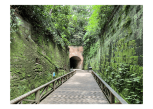 Sarushima Day Trip Guide: How to Visit Tokyo Bay’s Ruin-Filled Island