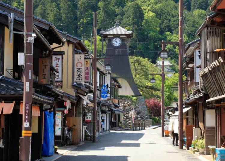 2-Day Autumn Road Trip in Hyogo Prefecture: Best Foliage Stops, Castle Views, and Onsen